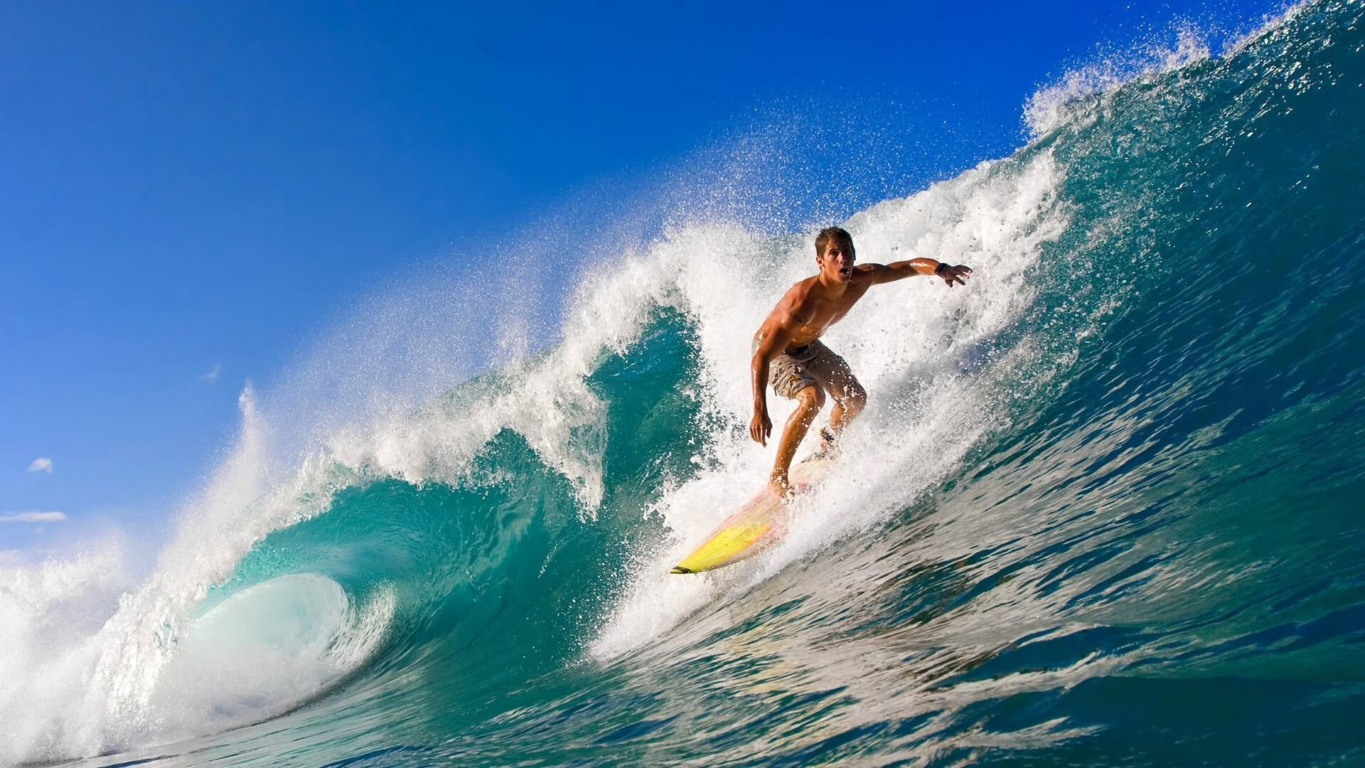 比利时仰泳选手技术细腻，比利时训练